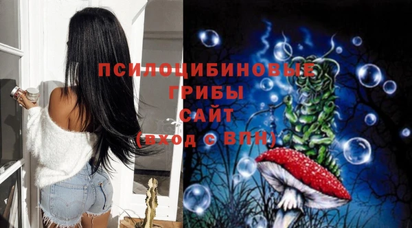 СК Дмитриев