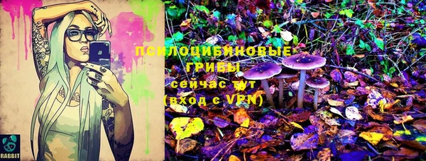 СК Дмитриев