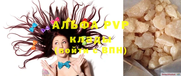шишки Дмитровск
