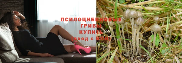 СК Дмитриев