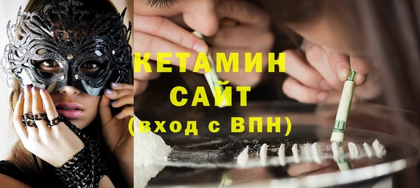 шишки Дмитровск