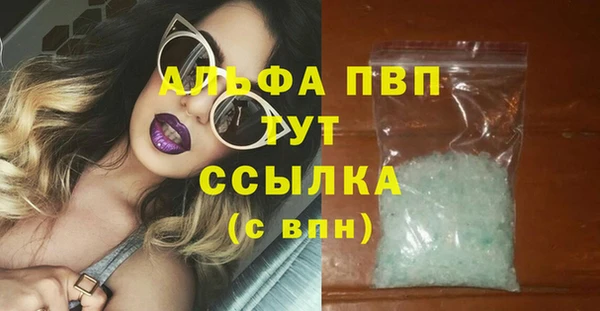 шишки Дмитровск