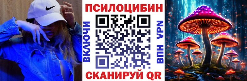 Галлюциногенные грибы Psilocybe  Истра 