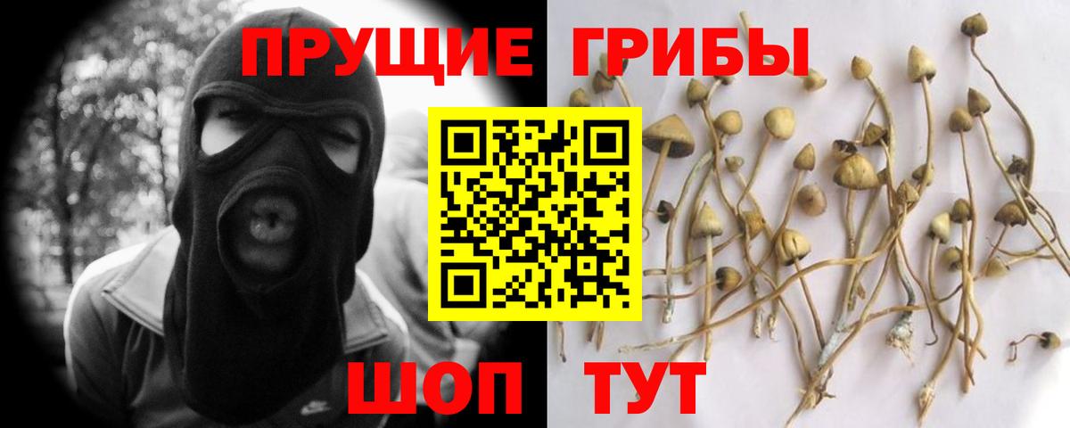 Истра  Галлюциногенные грибы GOLDEN TEACHER  Вход с VPN 