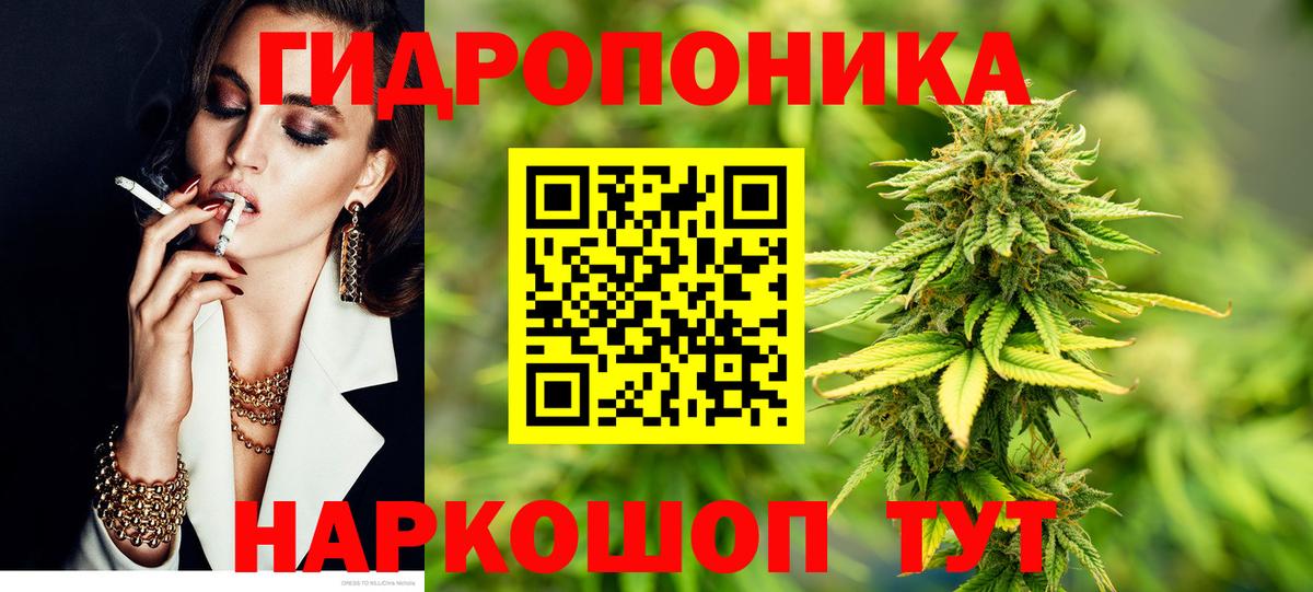 Марихуана сатива Истра